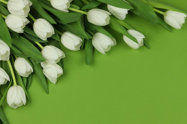 Beautiful bouquet of white tulip flowers with card on green background space for text