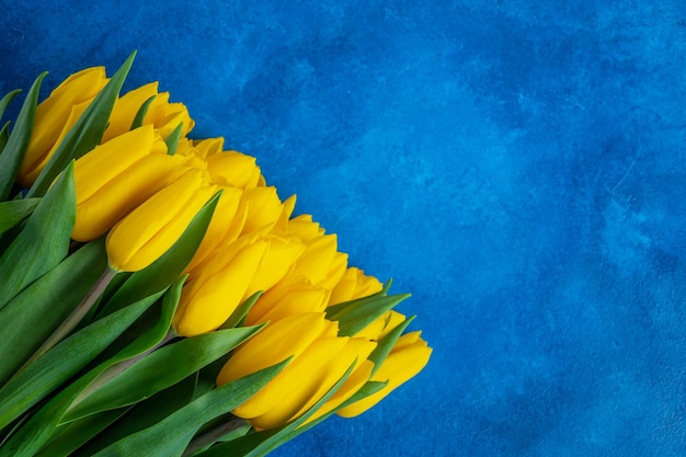 파란색 콘크리트 배경에 노란색 튤립의 아름다운 꽃다발 상위 뷰 복사 공간