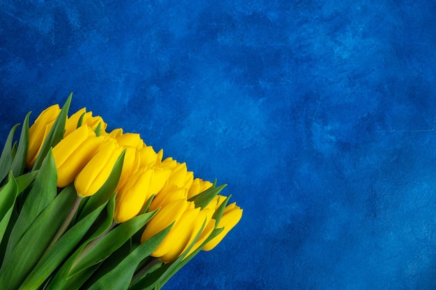 Beautiful bouquet of yellow tulips on a blue concrete background Top view copy space