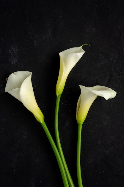 Beautiful bouquets of fresh spring flowers