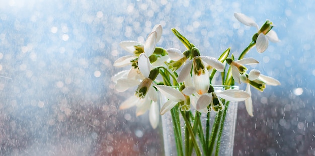 Beautiful bouquets of snowdrops in glass in the rays of the spring sun on the windowsill with flying drops of water.