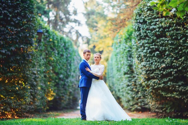 Beautiful bride in an expensive dress walking in the woods in nature, holding hands. Wedding portrait. Photography, concept.