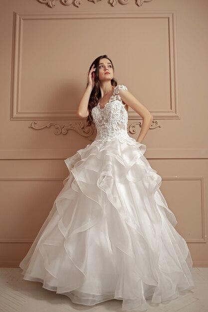 Beautiful bride in a luxurious wedding dress