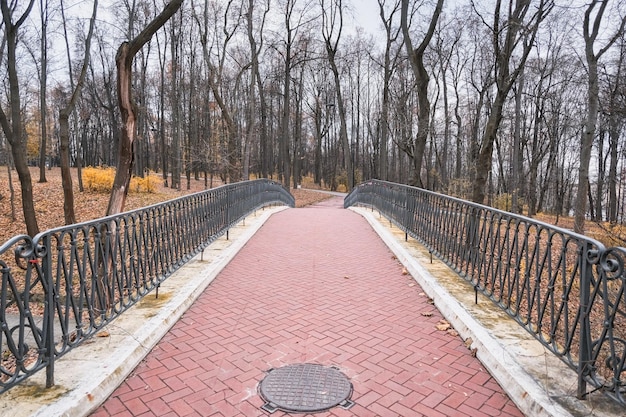 Photo beautiful bridge lined with red bricks with a figured metal fence