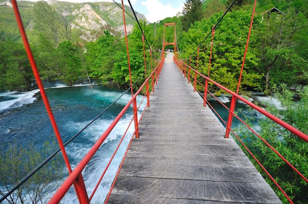 beautiful bridge in nature over wild river