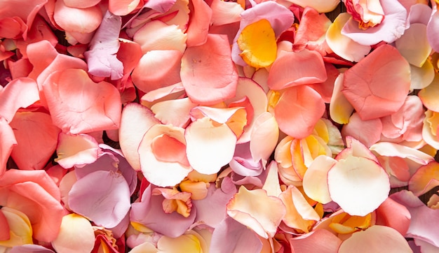 Beautiful bright background of fresh rose petals. Flower background.