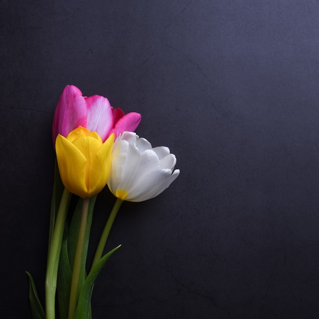 暗い灰色の漆喰壁にクローズアップでマルチカラーのチューリップの美しい明るい花束。