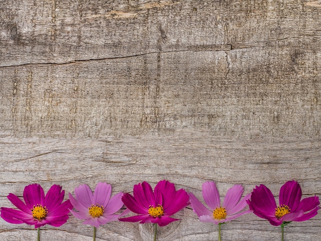 Beautiful bright flowers lying on wooden surface