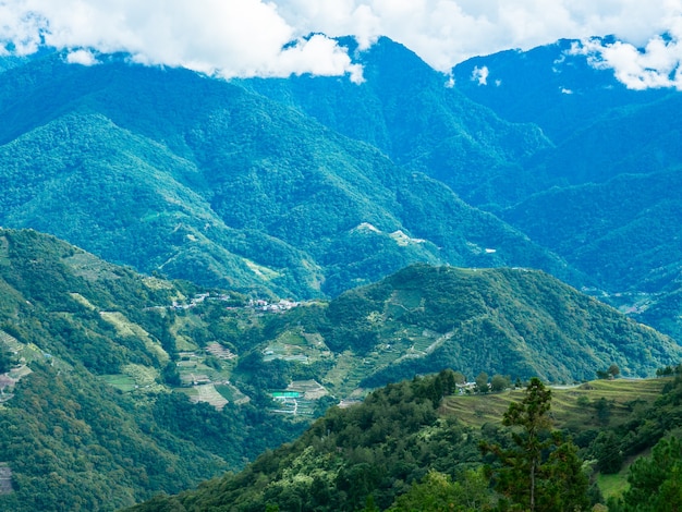 Beautiful bright landscape with green mountain field in sunny day