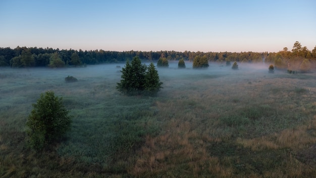 Beautiful bright morning time in the countryside