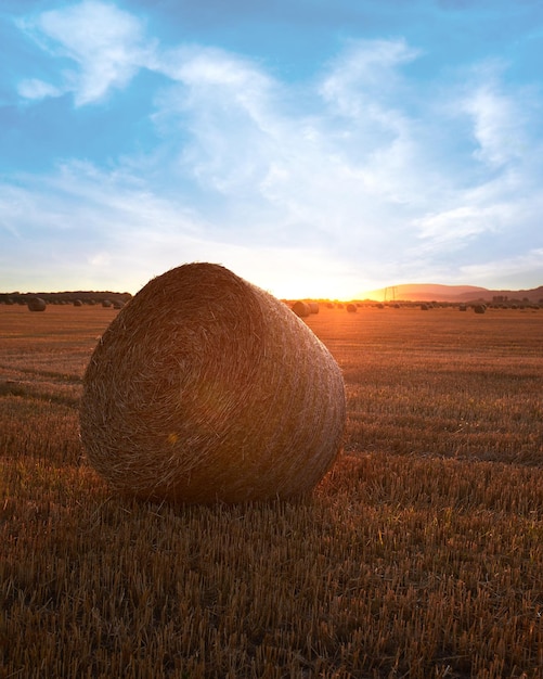 Beautiful bright sun rays under horizon over the field after harvesting. Straw bales outdoors on war