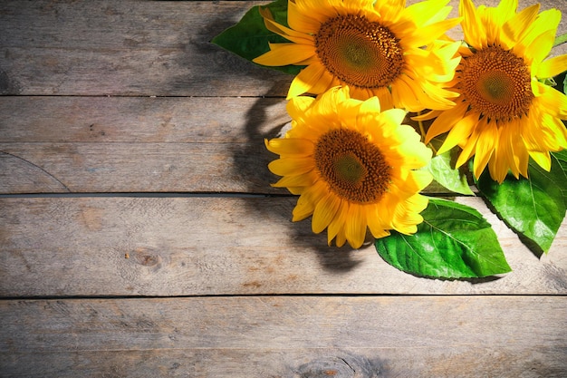 Beautiful bright sunflowers on wooden table close up