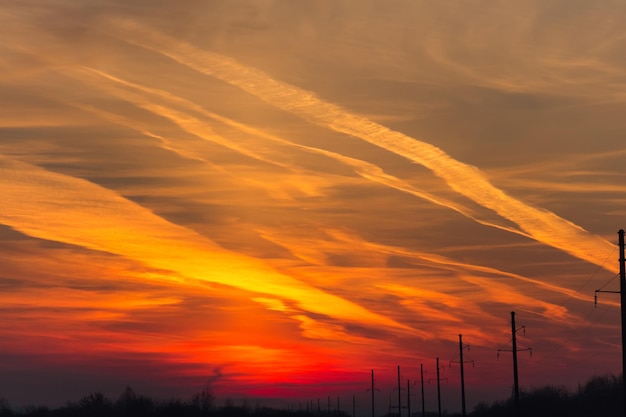 Beautiful bright sunset over the forest field and power line