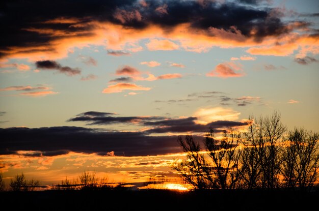 ふわふわの雲と美しい明るい夕焼け空