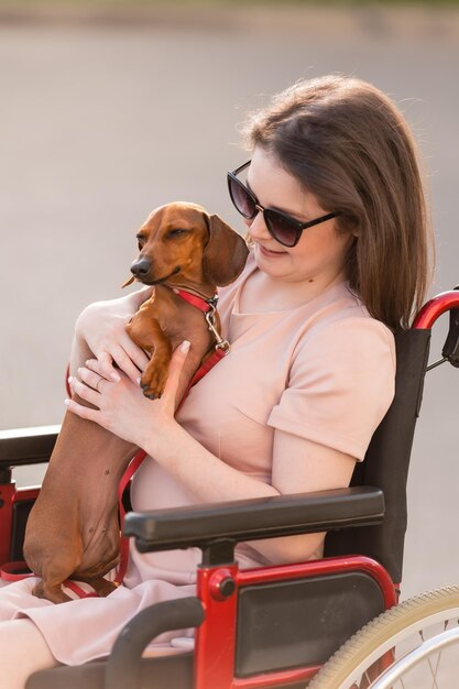 beautiful brunette girl in a wheelchair in summer on a walk with a cute dachshund dog