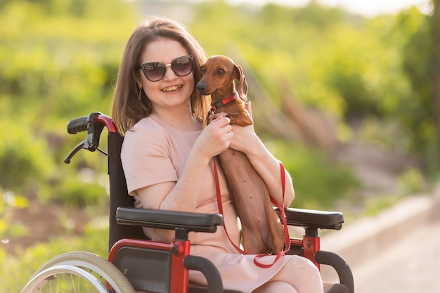 beautiful brunette girl in a wheelchair in summer on a walk with a cute dachshund dog