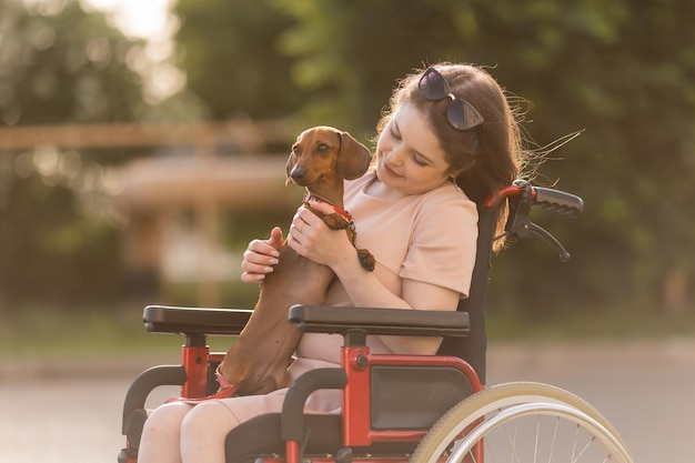 beautiful brunette girl in a wheelchair in summer on a walk with a cute dachshund dog