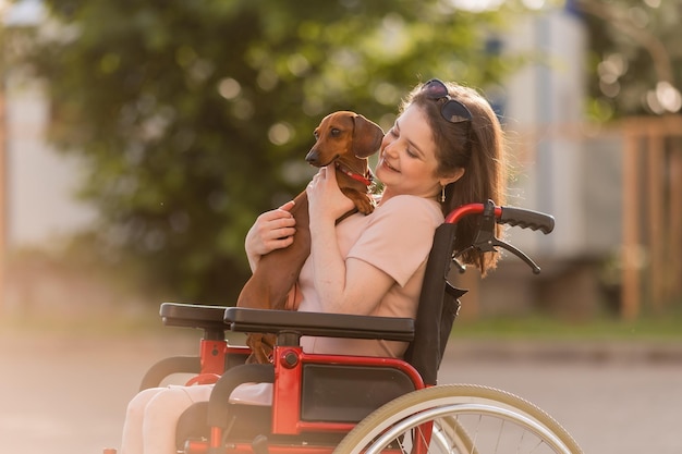 beautiful brunette girl in a wheelchair in summer on a walk with a cute dachshund dog