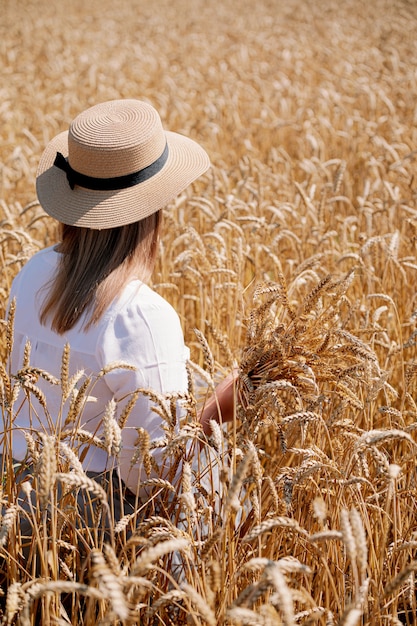 Beautiful brunette plus size lady in wheat field at sunset