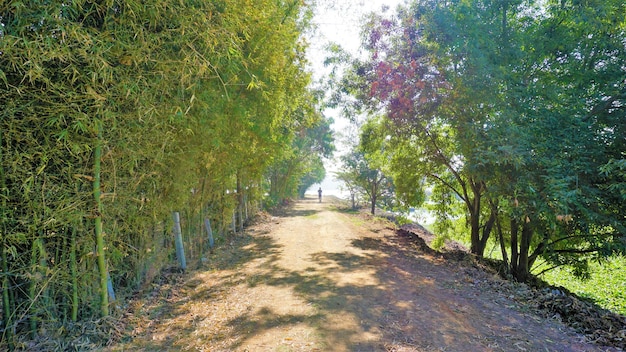 Photo beautiful btm or madiwala lake of bangalore in the morning with clear sky best place for relaxation for bengalurians