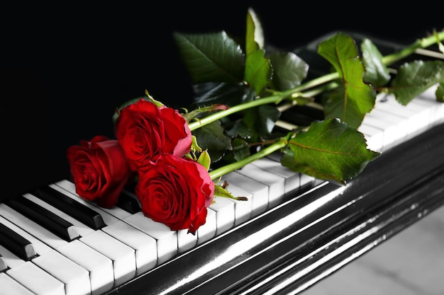 Beautiful bunch of red rose on piano keys close up