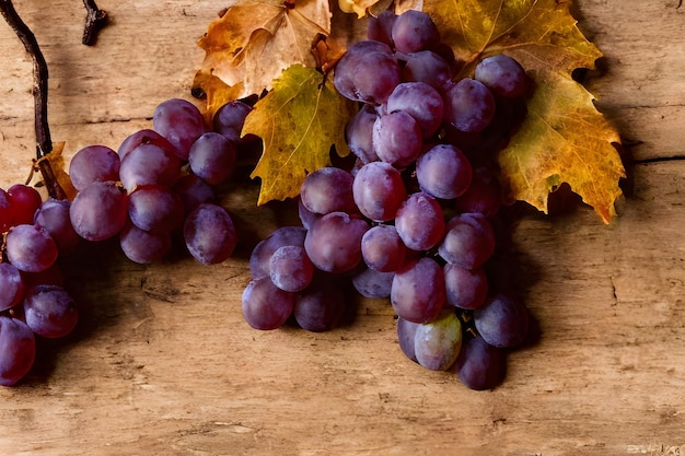 Beautiful bunches of grapes on top of a rustic wooden table