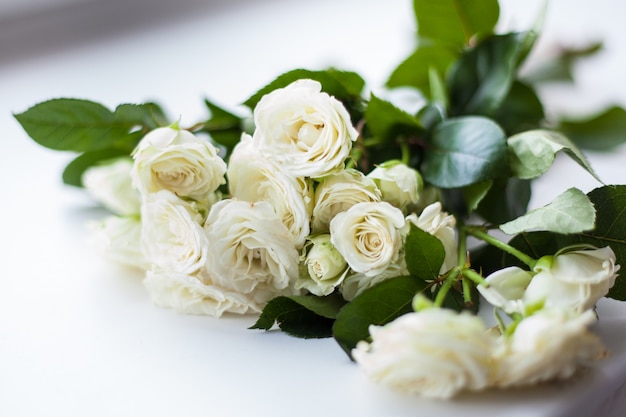Красивый куст белых роз