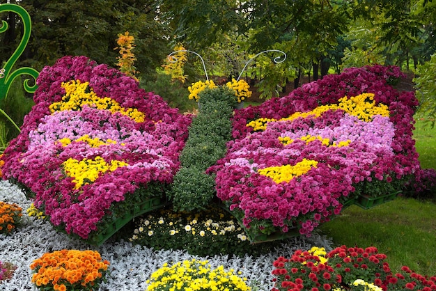 Beautiful butterfly from gentle flowers