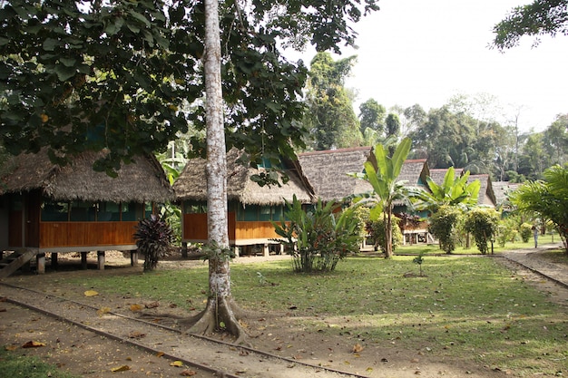 Beautiful cabins for tourists in the jungle of Puerto Maldonado. Peru