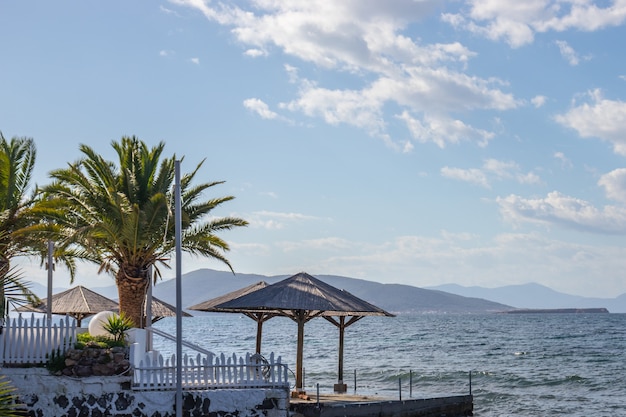 Beautiful cafe with palm trees on the seaside of the sea and blue cloudy sky