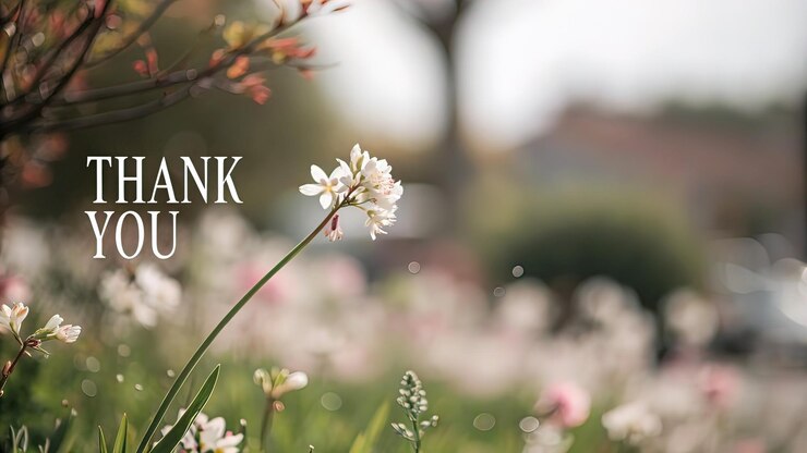 Photo 아름다운 캘리그라피 텍스트 흐릿한 배경 인사 감사합니다