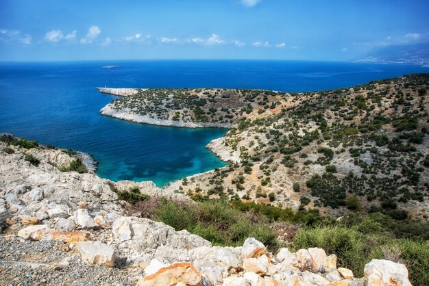 Beautiful calm bay with pine trees and blue clear sea