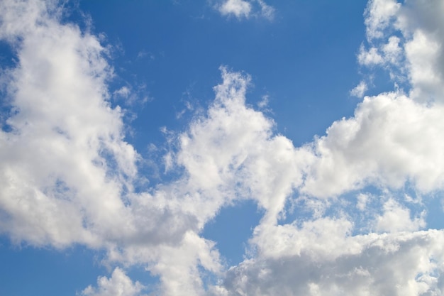 Beautiful calm and peaceful view of blue sky with stratocumulus clouds and copy space from below Low angle scenery of white fluffy and soft cloudscape with heaven theory before forming rainclouds