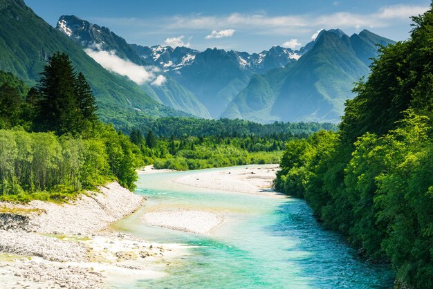 Soca 강 슬로베니아와 숲의 아름다운 협곡