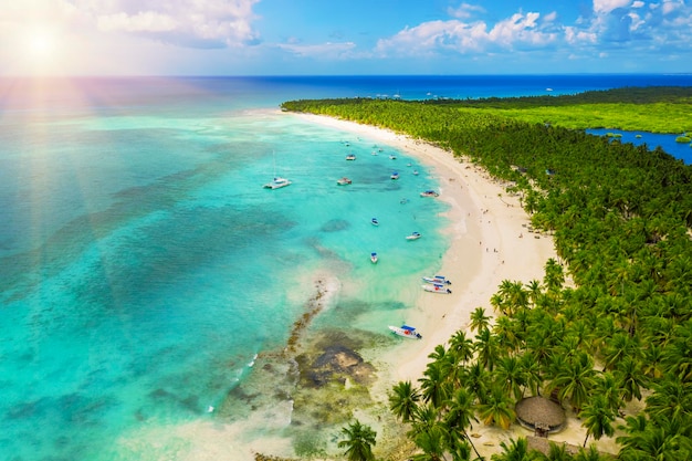 Beautiful caribbean beach on Saona island Dominican Republic Aerial view of tropical idyllic summer landscape with green palm trees sea coast and white sand