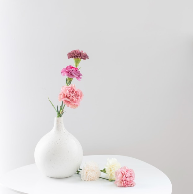 Beautiful carnation flowers in ceramic vase on white table