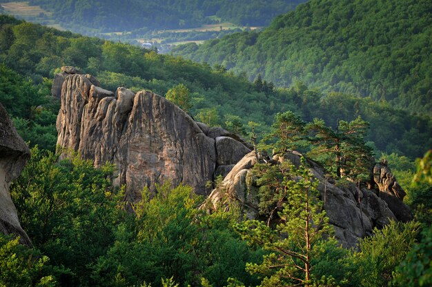 Beautiful carpathian mountain landscape