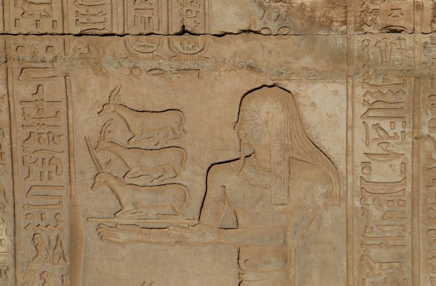 Foto bellissime sculture nell'antico tempio egizio di kom ombo ad assuan