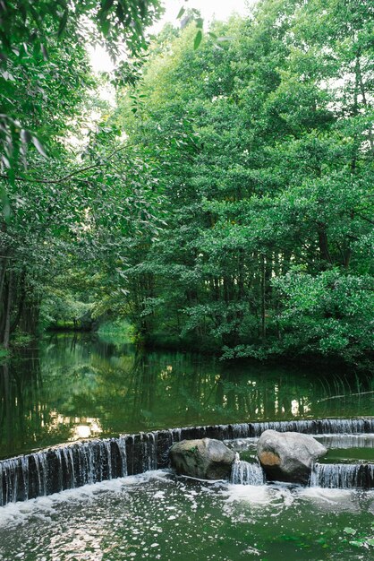 Beautiful cascading mini waterfall on the river in the forest Park "Drozdy" in Minsk