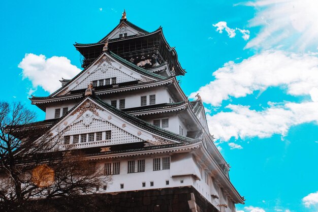 写真 日本の美しい城