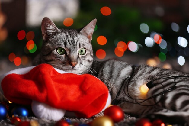 Foto bellissimo gatto vicino all'albero di natale con decorazioni