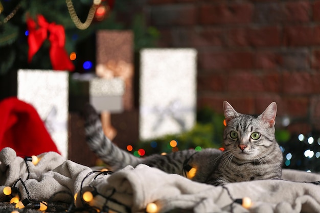 Bellissimo gatto vicino all'albero di natale con decorazioni