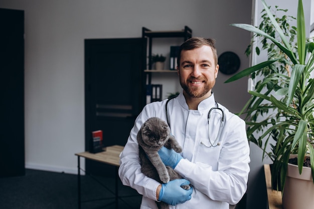 Beautiful cat at the veterinary clinic a doctor is holding and cuddling it pet care concept