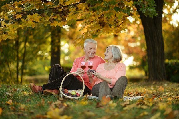 Beautiful caucasian elderly couple in the park in autumn