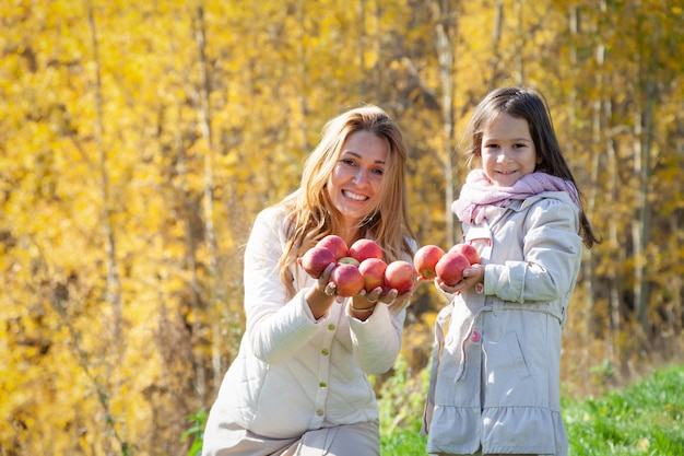 Beautiful Caucasian mother, little daughter play with ripe red apples on background of green grass of golden trees of autumn forest. Concept family weekend outdoors, people, weather, lifestyle