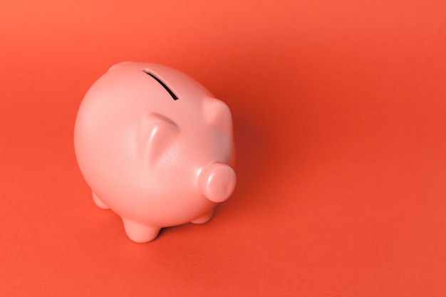 Beautiful ceramic piggy coin bank, money savings concept