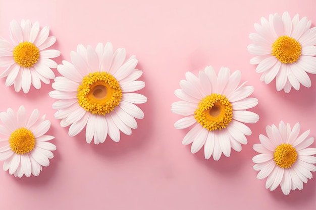 Beautiful chamomile daisy flower on neutral pink background Minimalist floral concept ai generative