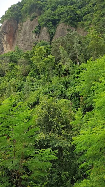 Photo beautiful chandranath hill sitakunda chattogram bangladesh