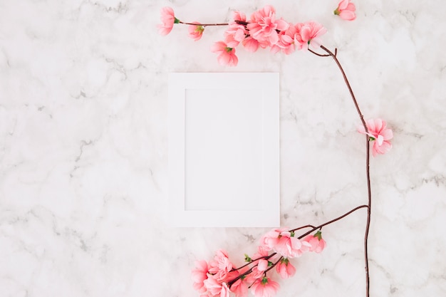 Photo beautiful cherry blossom sakura in spring near the white empty picture frame on textured background