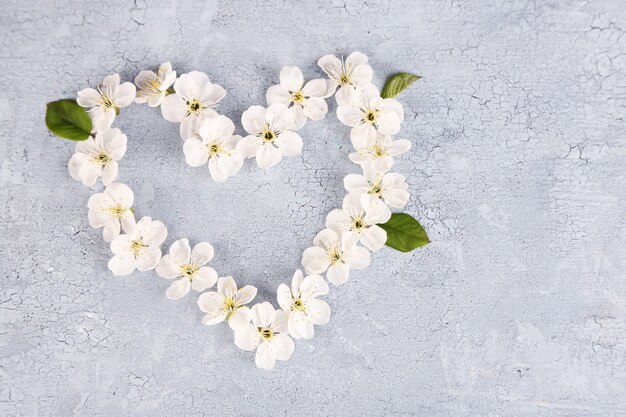 Beautiful cherry blossom on wooden background